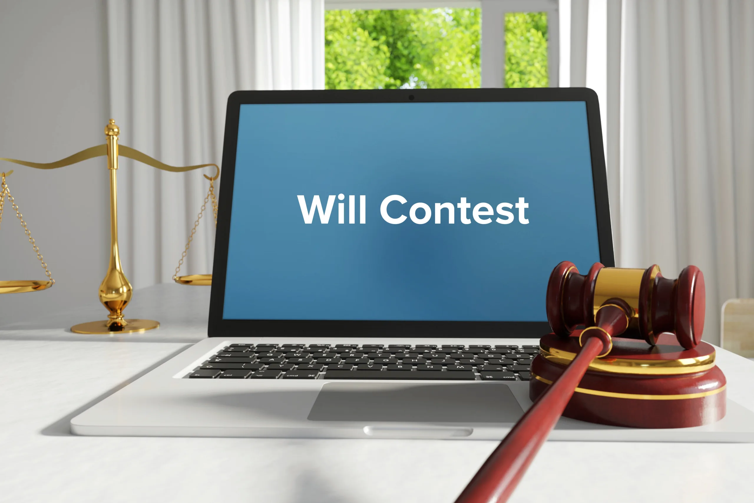 Will Contest goes to court