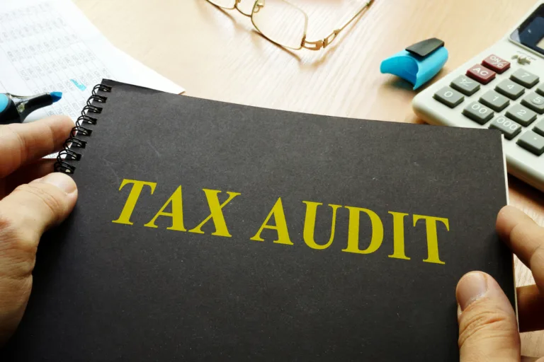 tax audit